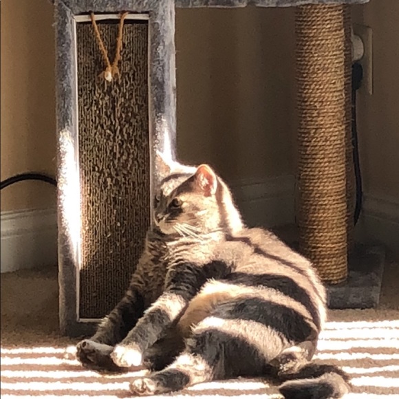 β’ meet the assistants β’ - Picture 7 of 15